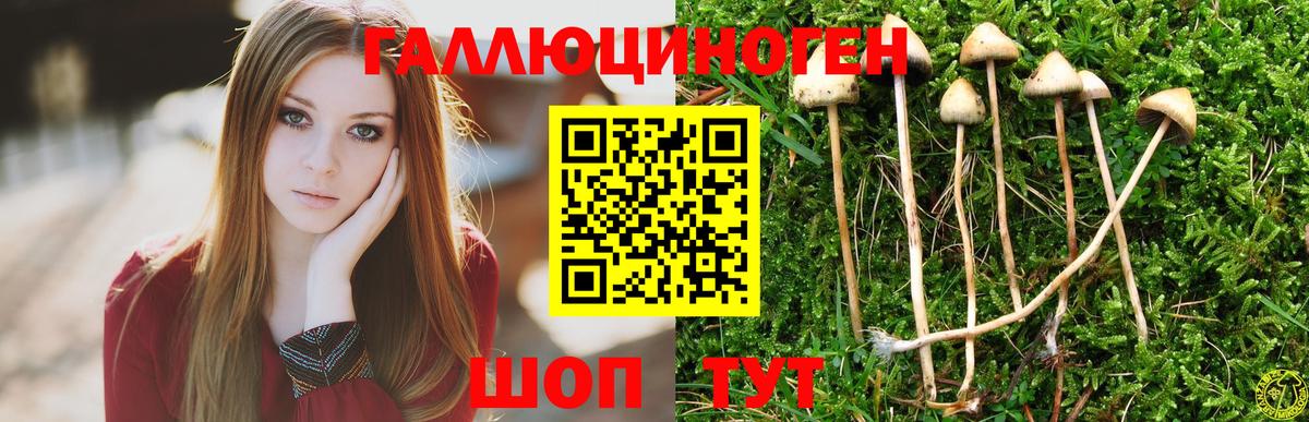 Псилоцибиновые грибы ЛСД Южноуральск